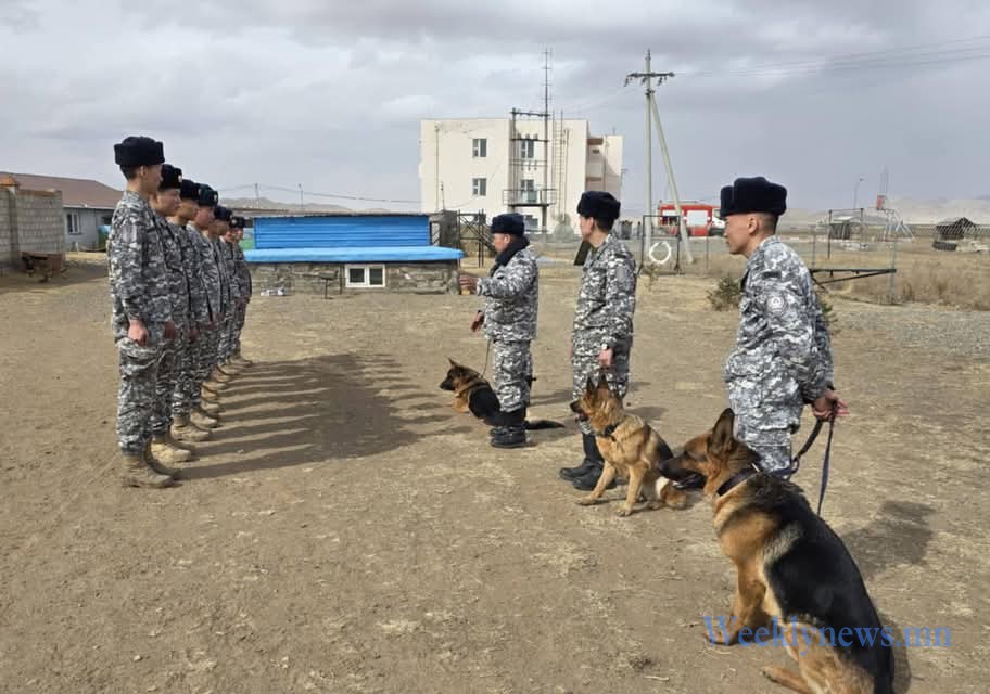 АВРАГЧ НОХОЙ ХӨТЛӨГЧИЙН АНХАН ШАТНЫ СУРГАЛТЫГ ЗОХИОН БАЙГУУЛЖ БАЙНА