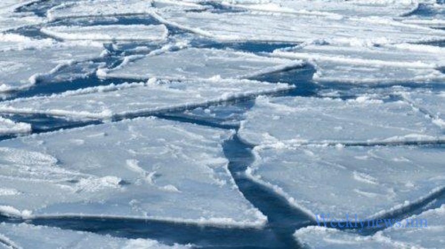 ГОЛ МӨРНИЙ МӨСНИЙ ЗУЗААН ОЛОН ЖИЛИЙН ДУНДЖААС НИМГЭН БАЙНА