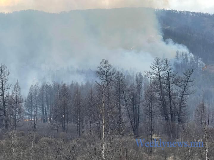 ХӨВСГӨЛ АЙМГИЙН ЭРДЭНЭБУЛГАН СУМАНД ОЙ ХЭЭРИЙН ТҮЙМЭР ГАРЧЭЭ