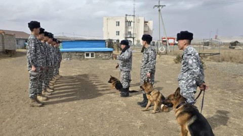 АВРАГЧ НОХОЙ ХӨТЛӨГЧИЙН АНХАН ШАТНЫ СУРГАЛТЫГ ЗОХИОН БАЙГУУЛЖ БАЙНА