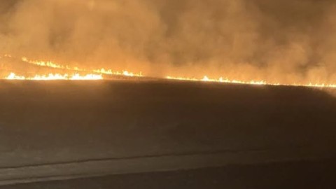 ИРГЭД ХОГ ШАТААЖ БАЙГААД АЛДСАНААР 7500 ГА ГАЗАР ТҮЙМЭРТ ӨРТЖЭЭ
