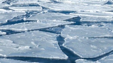 ГОЛ МӨРНИЙ МӨСНИЙ ЗУЗААН ОЛОН ЖИЛИЙН ДУНДЖААС НИМГЭН БАЙНА