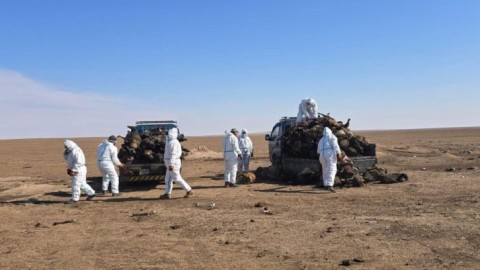 ДОРНОД: ХЭЭРИЙН ТҮЙМЭРТ ӨРТСӨН МАЛЫН СЭГ ЗЭМИЙГ УСТГАЖ БАЙНА