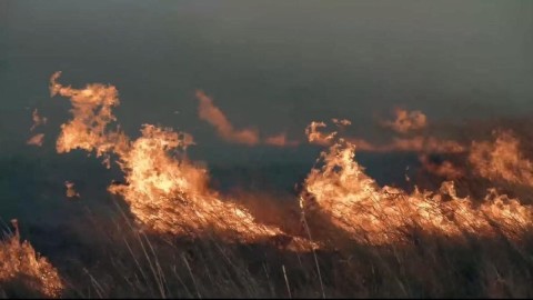 ОН ГАРСААР  4 АЙМГИЙН 11 СУМАНД 14 УДААГИЙН ОЙ, ХЭЭРИЙН ГАЛ ТҮЙМЭР БҮРТГЭГДЛЭЭ