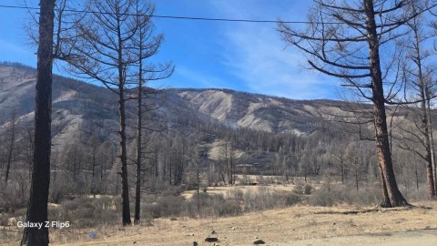 ЭРДЭНЭБУЛГАН СУМАНД ГАРСАН ОЙН ТҮЙМРИЙГ ЦУРМАНД ОРУУЛЛАА