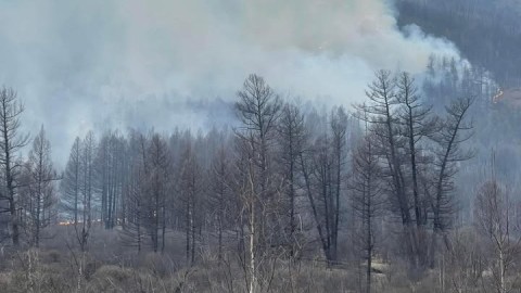 ХӨВСГӨЛ АЙМГИЙН ЭРДЭНЭБУЛГАН СУМАНД ОЙ ХЭЭРИЙН ТҮЙМЭР ГАРЧЭЭ